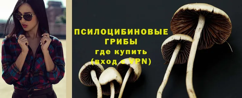 Галлюциногенные грибы Psilocybine cubensis  мориарти официальный сайт  Казань 